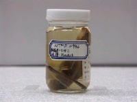 藏品(臺灣石(魚賓))的圖片